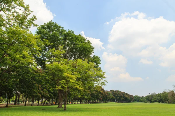 Schöner Park — Stockfoto