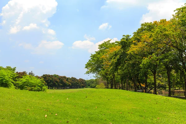 Beautiful park — Stock Photo, Image