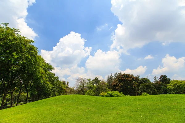 Beautiful park — Stock Photo, Image