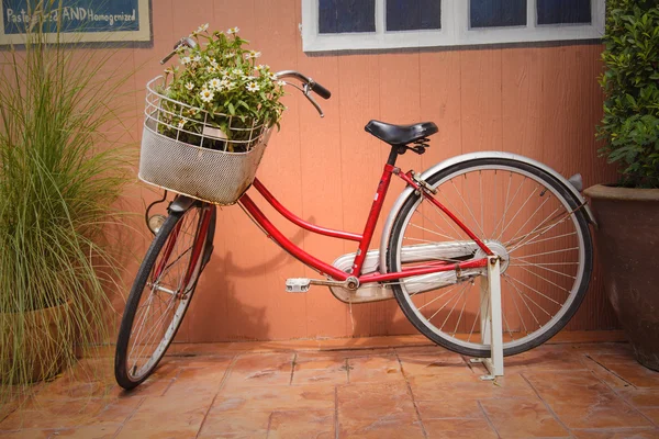 Rower z kwiatami — Zdjęcie stockowe