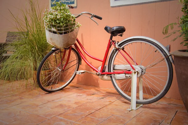 Велосипед с цветами — стоковое фото