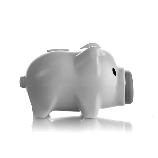 Gray piggy bank — Stock Photo, Image