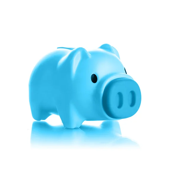 Blue piggy bank — Stock Photo, Image