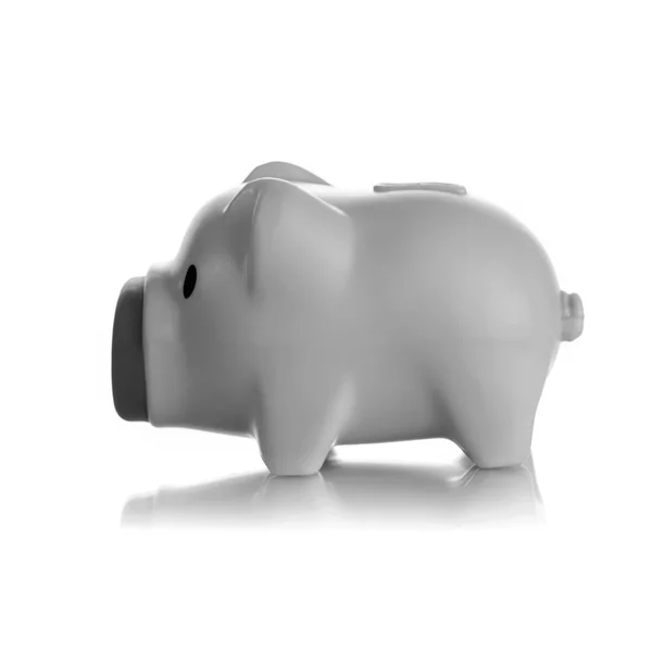 Gray piggy bank — Stock Photo, Image