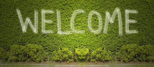 Welcome on green wall — Stock Photo, Image