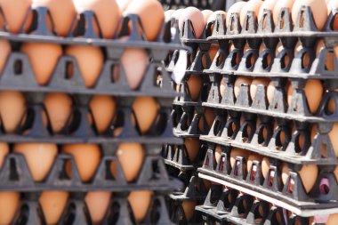 Pakette yumurtalar var. 