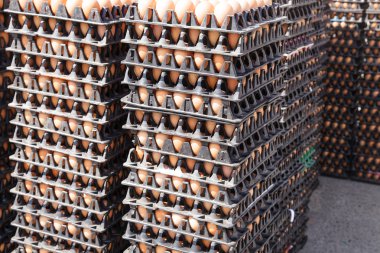 Pakette yumurtalar var. 