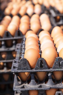 Pakette yumurtalar var. 