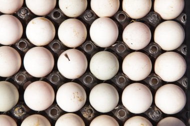 Pakette yumurtalar var. 