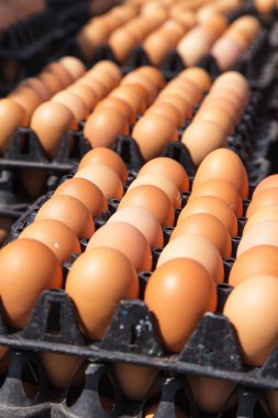 Pakette yumurtalar var. 