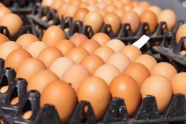 Pakette yumurtalar var. 