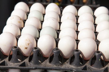 Pakette yumurtalar var. 