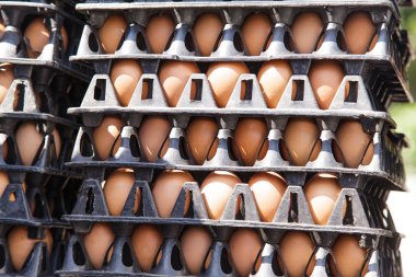 Pakette yumurtalar var. 