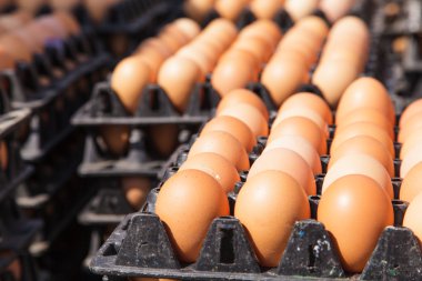 Pakette yumurtalar var. 