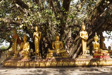 Buddha in Vientiane, Laos