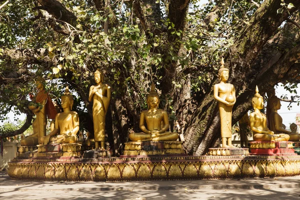 Buddha a Vientiane, Laos — Foto Stock