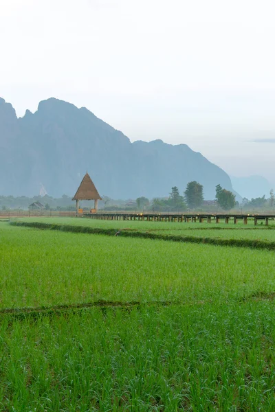 Vang Vieng, Laos — Stock Photo, Image