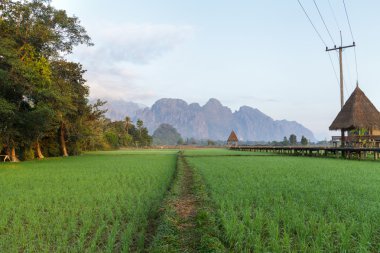 Vang Vieng, Laos