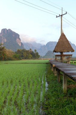 Vang Vieng, Laos
