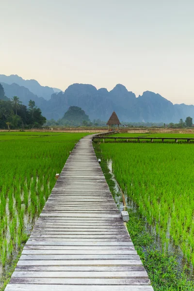 Vang Vieng, Laos — Stock Photo, Image