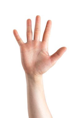 Kadın eli beyaz arkaplanda 