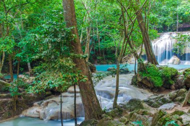 güzel derin orman şelale