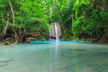 güzel derin orman şelale