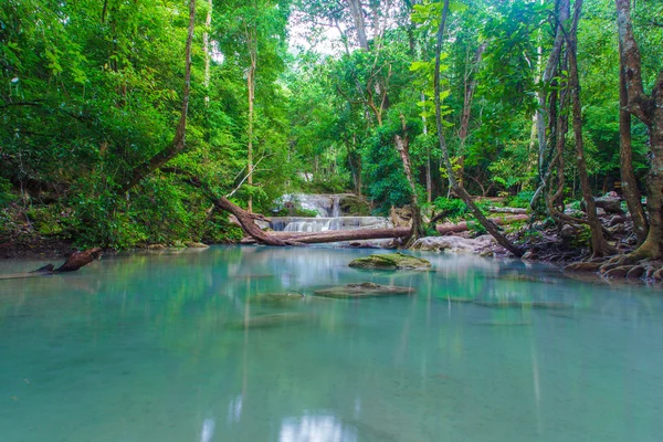 Güzel derin orman şelale — Stok fotoğraf