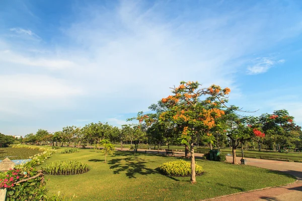 Árboles verdes en hermoso jardín — Foto de Stock