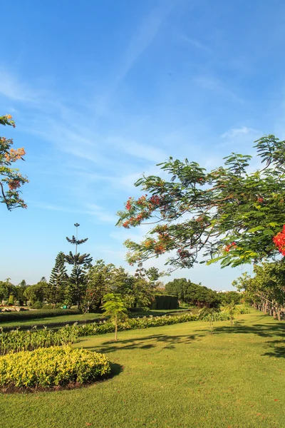 Hermoso paisaje de jardín — Foto de Stock