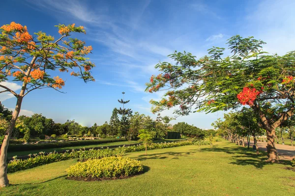 Beautiful garden landscape — Stock Photo, Image