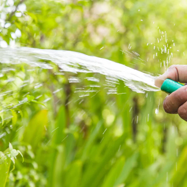 Vattna växter i hemmet trädgården — Stockfoto