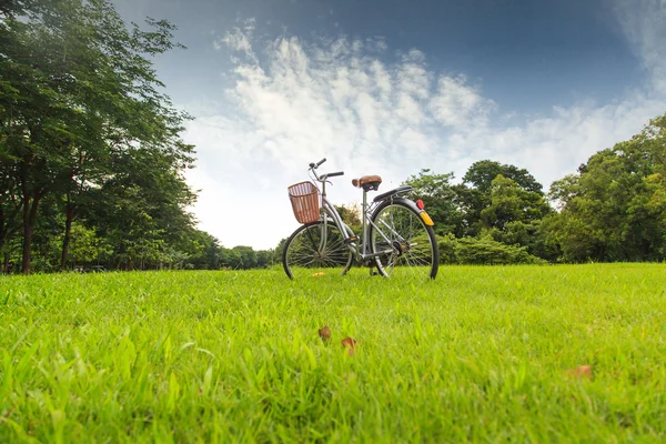 Biciclette nel parco — Foto Stock