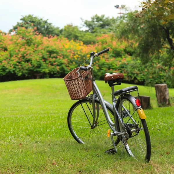 Biciclette nel parco — Foto Stock