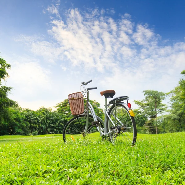 公園内の自転車 — ストック写真