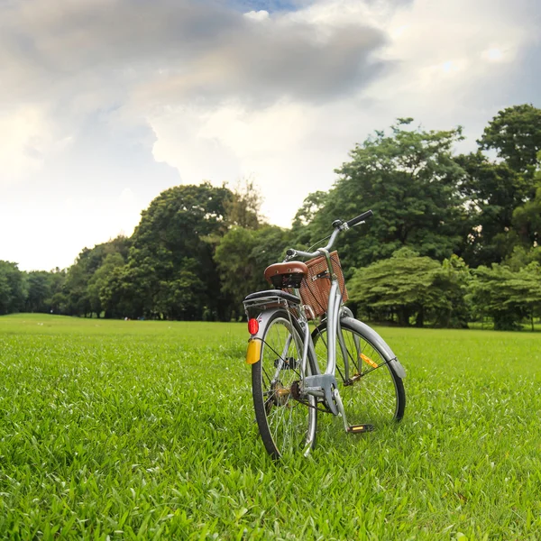Vélos dans le parc — Photo