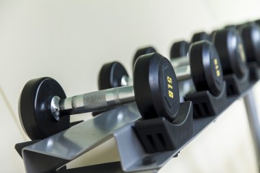 Bir fitness stüdyosu dizilmiş halter