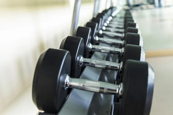 Dumbbells lined up in a fitness studio
