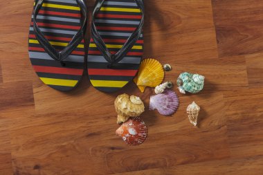 Ahşap arka plan üzerinde seashell ile terlik