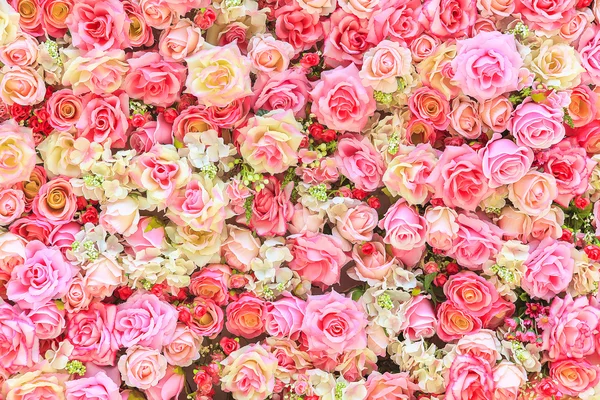 Hermoso fondo de rosas coloridas —  Fotos de Stock