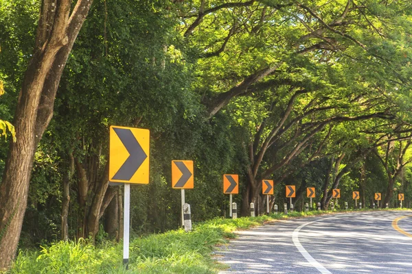 Bomen en Curve weg — Stockfoto