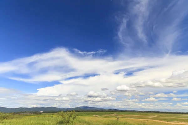 Countryside landscape with blue sky — Stock Photo, Image