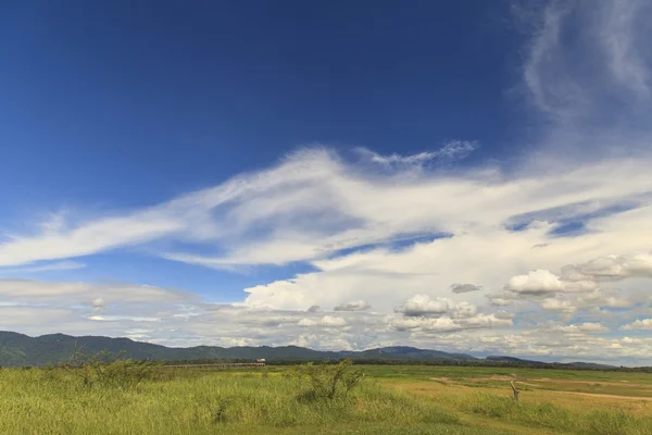 Paisaje de campo con cielo azul — Foto de Stock