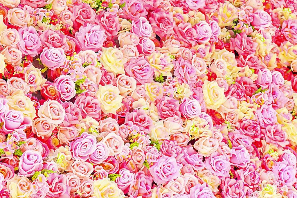 Beautiful Colorful Roses Background Stock Photo C Naypong