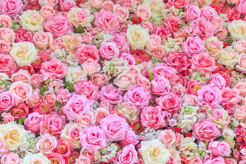 美しいカラフルなバラの花背景 ストック写真 C Naypong