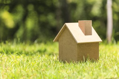 Yeşil çimenlerin üzerinde ahşap ev