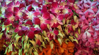 Pak Khlong Talat çiçek pazarı