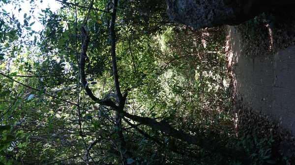 Aussichtspunkt im Nationalpark — Stockfoto