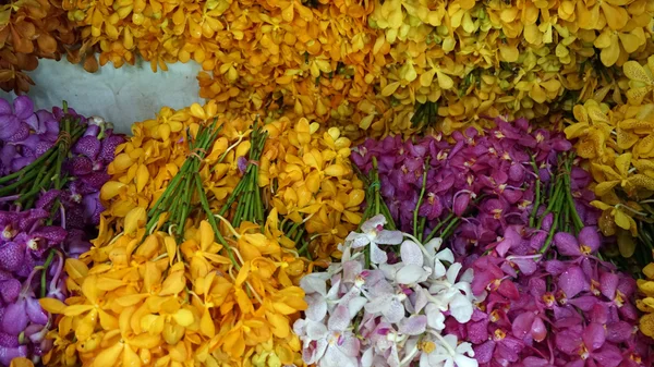 Pak Khlong Talat mercato dei fiori — Foto Stock