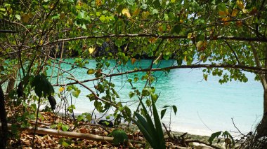 Yeşil manzara Tayland